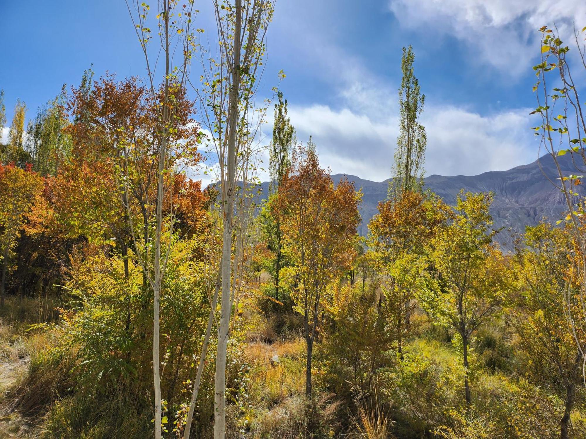 Lharimo Hotel Leh - Ladakh Dış mekan fotoğraf