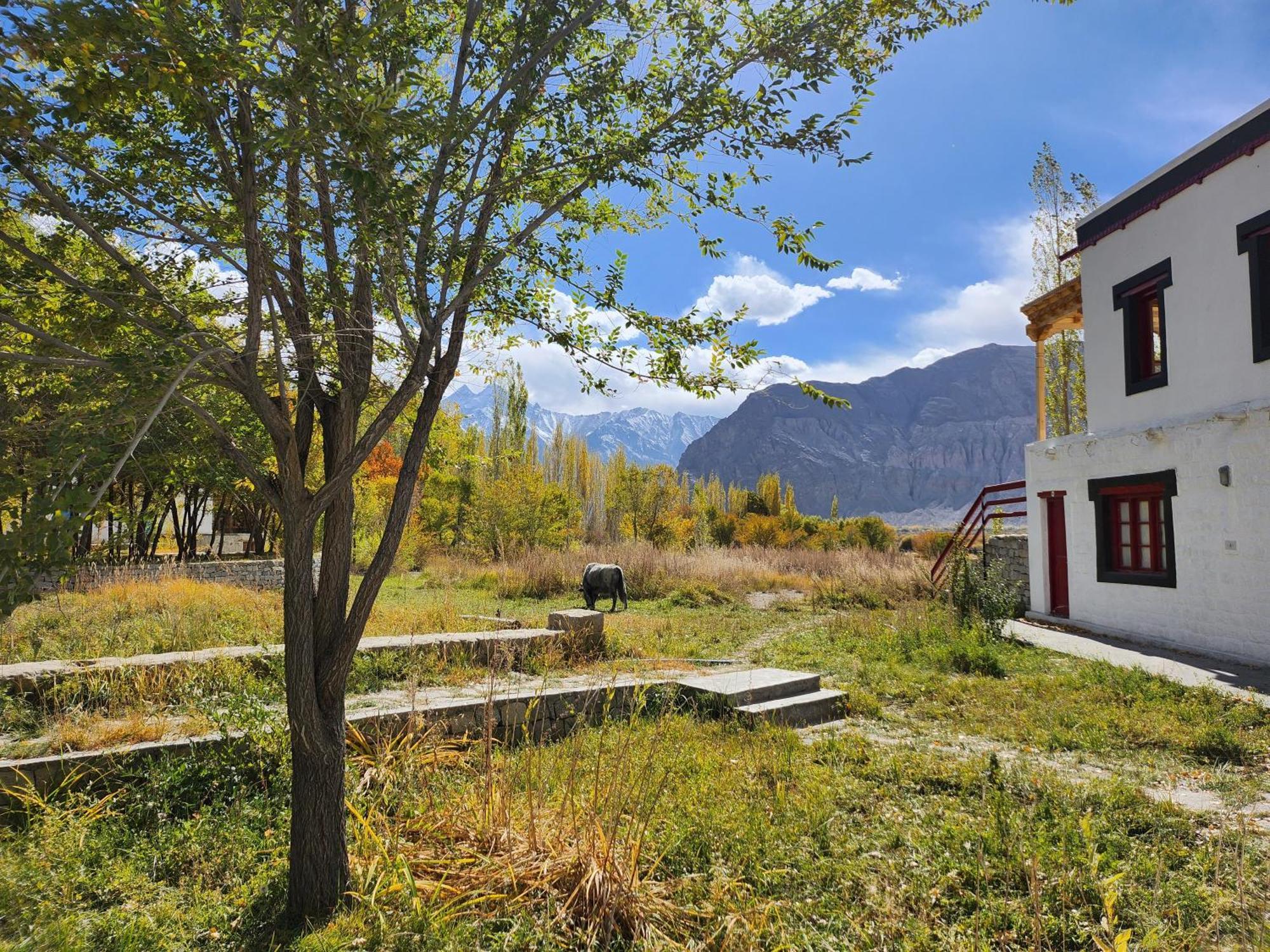 Lharimo Hotel Leh - Ladakh Dış mekan fotoğraf