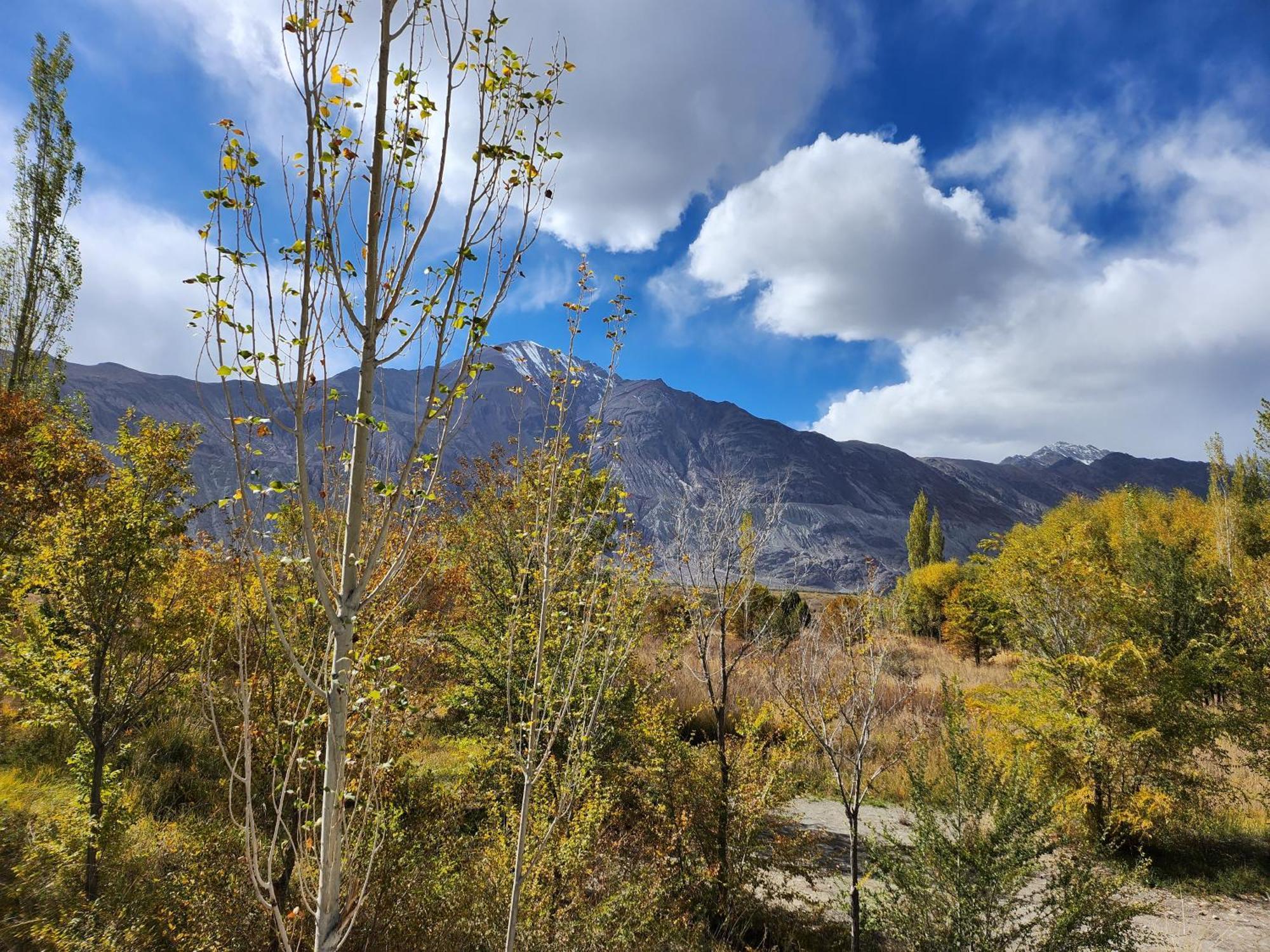 Lharimo Hotel Leh - Ladakh Dış mekan fotoğraf