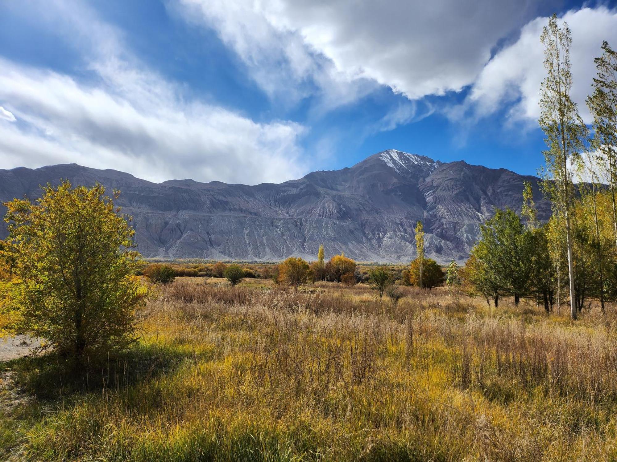 Lharimo Hotel Leh - Ladakh Dış mekan fotoğraf