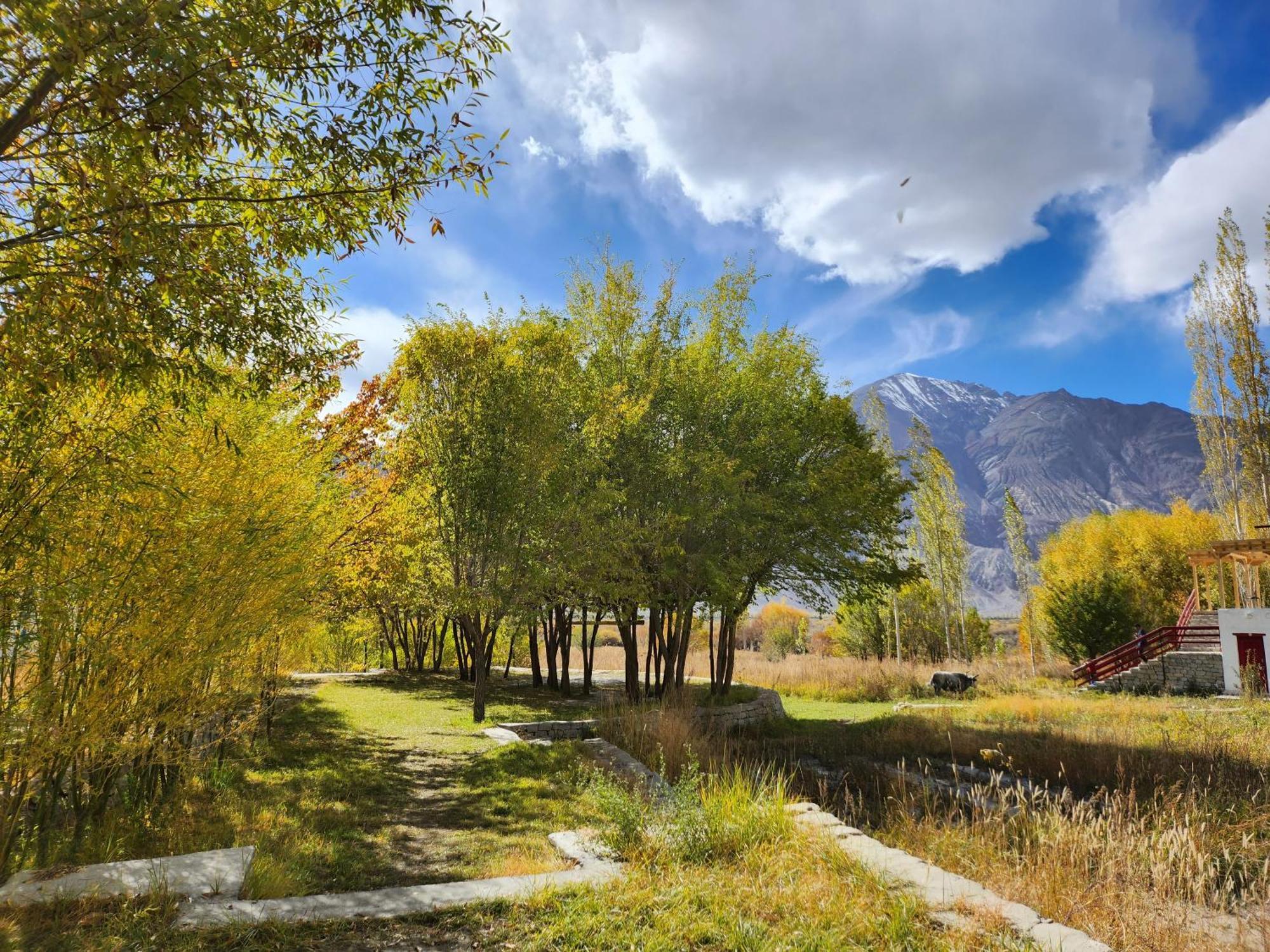 Lharimo Hotel Leh - Ladakh Dış mekan fotoğraf