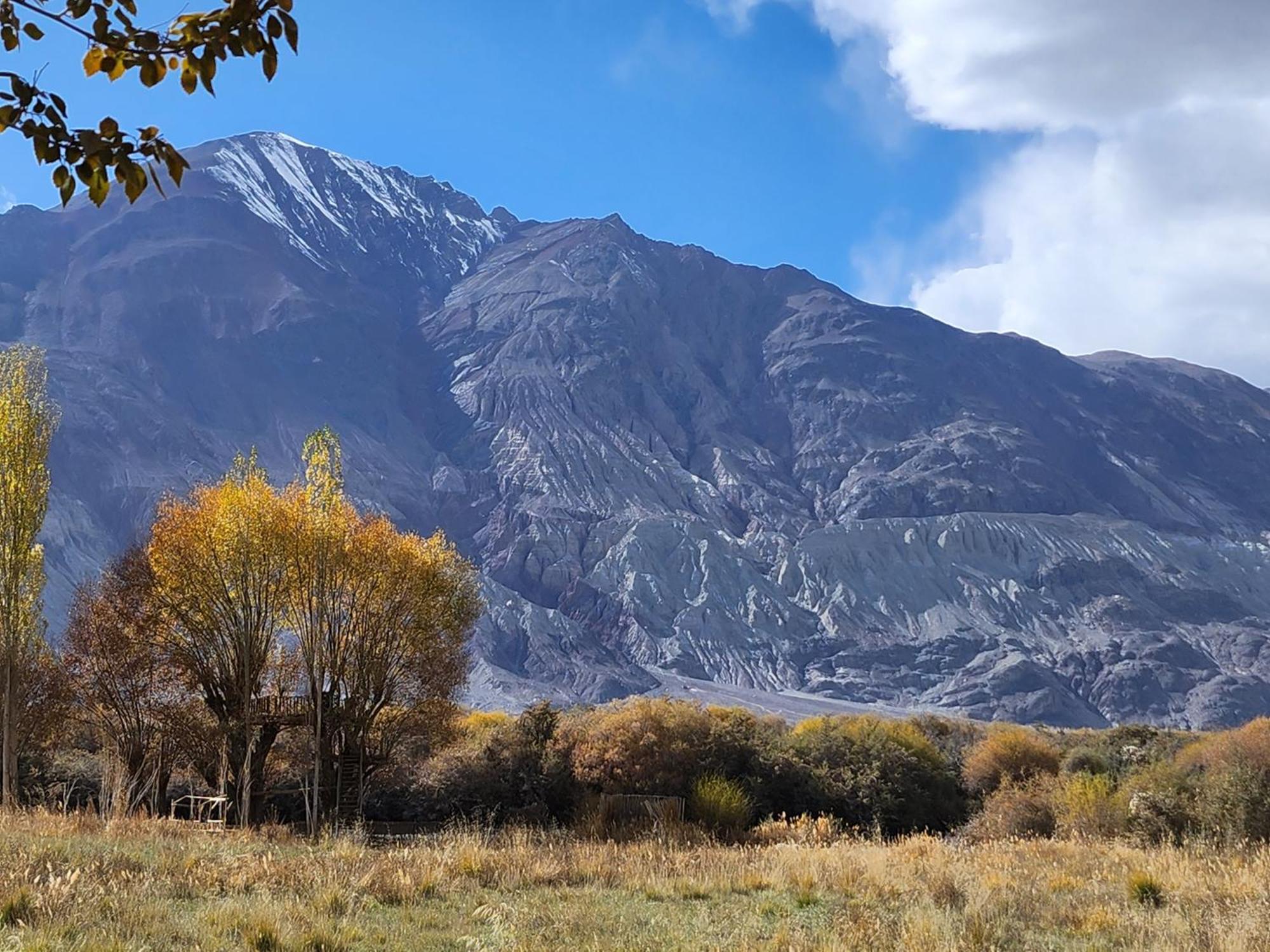 Lharimo Hotel Leh - Ladakh Dış mekan fotoğraf