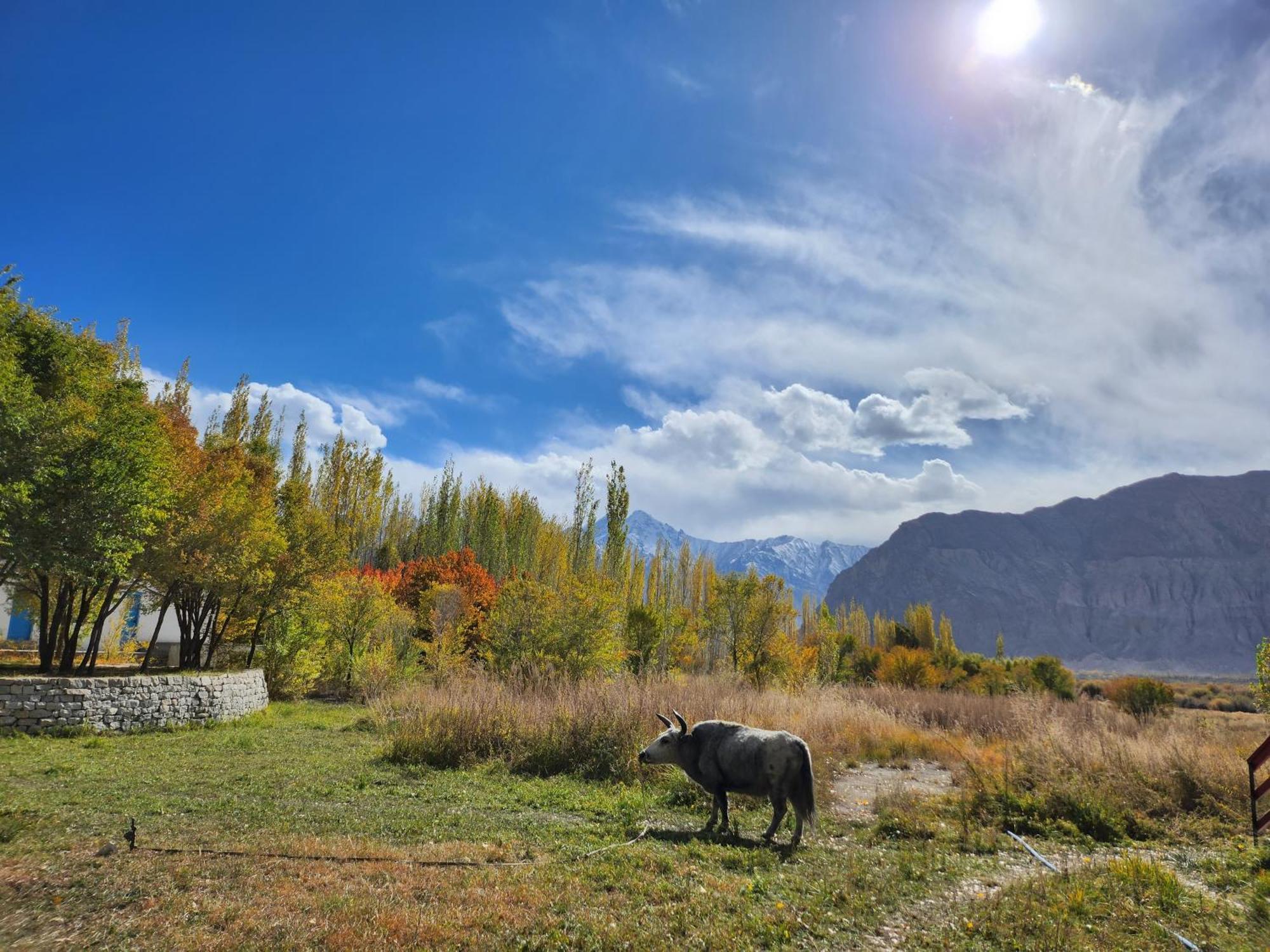 Lharimo Hotel Leh - Ladakh Dış mekan fotoğraf