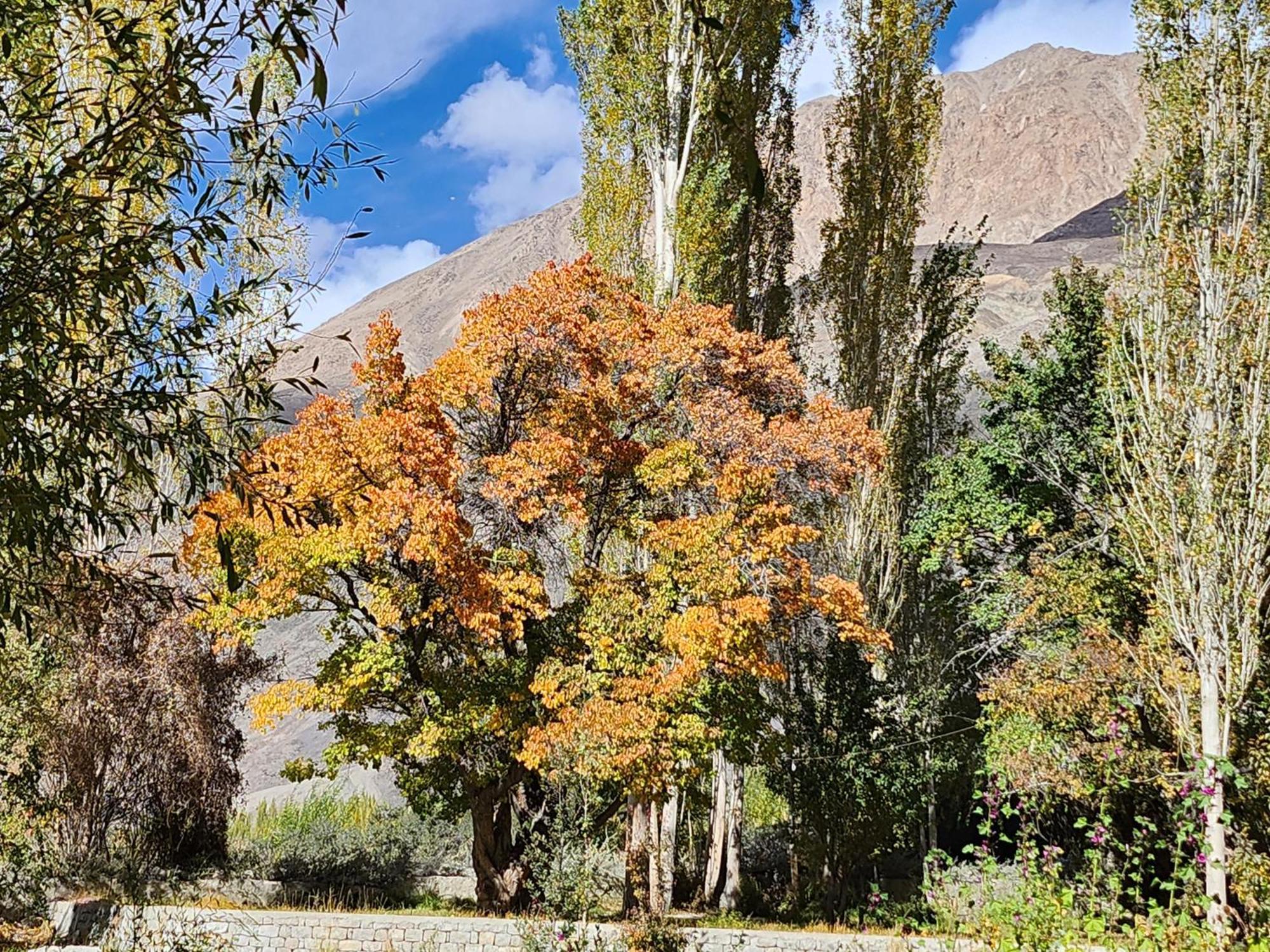 Lharimo Hotel Leh - Ladakh Dış mekan fotoğraf