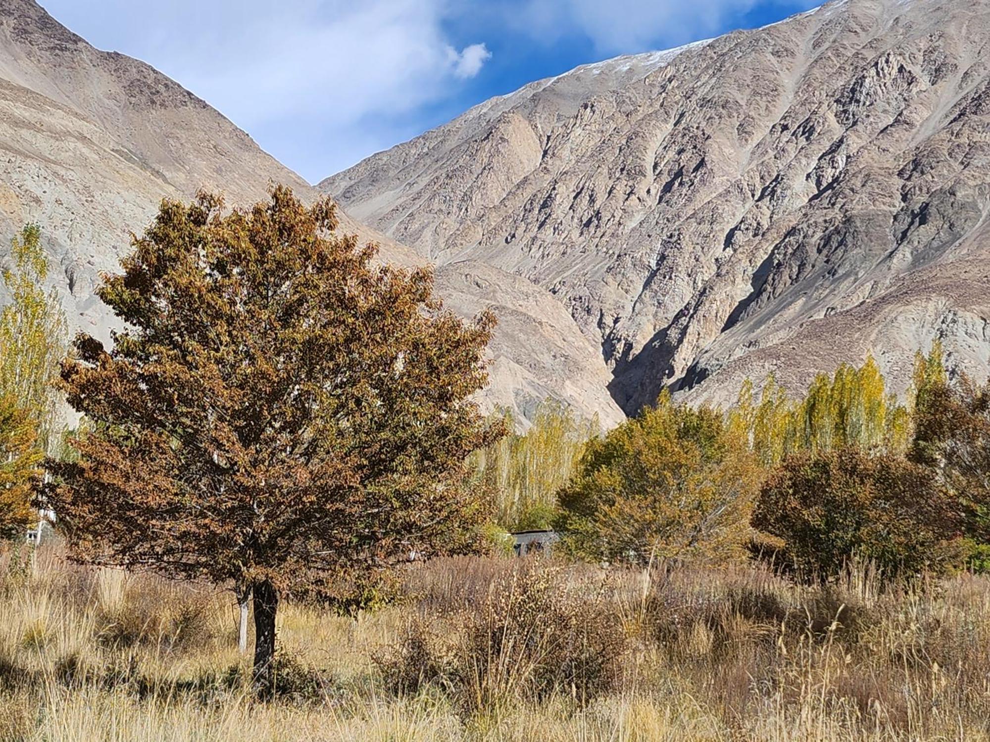 Lharimo Hotel Leh - Ladakh Dış mekan fotoğraf