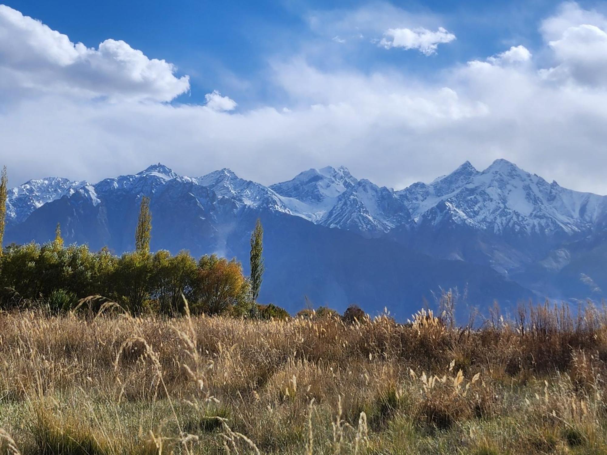 Lharimo Hotel Leh - Ladakh Dış mekan fotoğraf